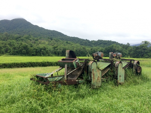 daintree_tea_equipment.jpg